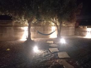 two trees with lights in a courtyard at night at יחידת נוף לגלבוע in Bet Sheʼan