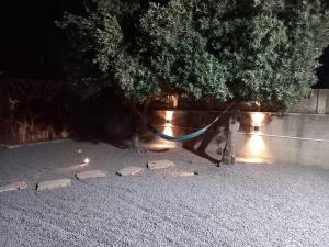 a blue hose hanging from a tree next to a wall at יחידת נוף לגלבוע in Bet Sheʼan +2 photos