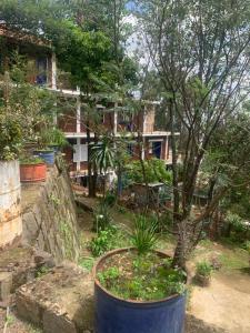 Zahrada ubytování Comfy Living With Terrace & View