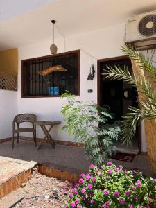 Un jardín fuera de A bohemian-style studio in dahab