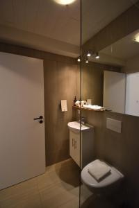 un bagno con un water, un lavandino e uno specchio di Glacier World - Hoffell Guesthouse a Hoffell Altre 37 foto