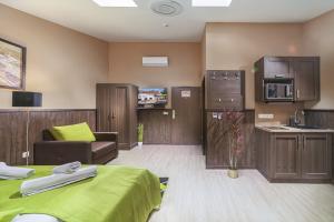 Kuchyň nebo kuchyňský kout v ubytování Park Hotel Bükfürdő