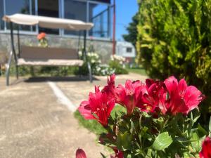 Foto dalla galleria di Angel's Heaven a Sikia