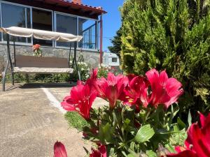 Foto dalla galleria di Angel's Heaven a Sikia Altre 73 foto