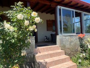 Foto dalla galleria di Angel's Heaven a Sikia