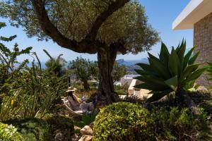 a woman sitting in a chair under a tree at Villas Aloe Vera by Abahana Luxe in Benitachell