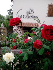 um grupo de rosas vermelhas e brancas em frente a um edifício em Agriturismo La Chiocciola em Poggio Murella