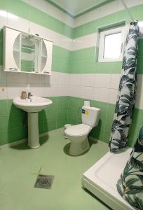 a green and white bathroom with a toilet and sink at Apartment Nina in Gevgelija
