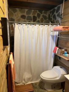 y baño con aseo y cortina de ducha. en Rustic cabin in the heart of the fields of Pitahaya, en Cabo Rojo