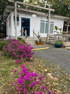 Um jardim no exterior de Rustic cabin in the heart of the fields of Pitahaya