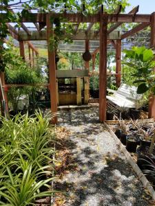 Um jardim no exterior de Rustic cabin in the heart of the fields of Pitahaya