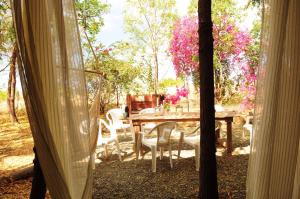 Um jardim no exterior de Rustic cabin in the heart of the fields of Pitahaya