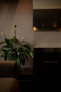 Istumisnurk majutusasutuses Axolute Comfort Hotel Como Cantù
