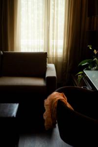 Istumisnurk majutusasutuses Axolute Comfort Hotel Como Cantù