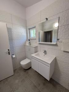 a bathroom with a toilet and a sink and a mirror at Apartmani Roko in Drvenik +30 photos