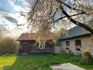 an old brick house in a yard with a tree at Agroturystyka Podłazy in Piotrów