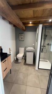 a bathroom with a shower and a toilet and a sink at Havre de paix en Bourgogne in Saint-Germain-du-Plain