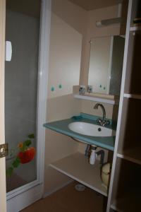 a bathroom with a sink and a mirror at La Ptite Ferme de Caro in Meyrignac-lʼÉglise +54 photos