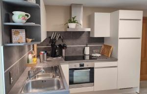 a small kitchen with a sink and a stove at La Chambre aux Pommes - Poupehan sur Semois in Bouillon