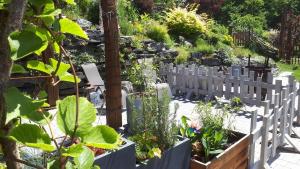 a garden with a white picket fence and plants at La Chambre aux Pommes - Poupehan sur Semois in Bouillon