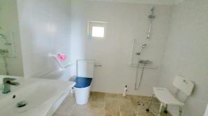 une salle de bain avec douche, lavabo et toilettes dans l'établissement Domaine Les Chauveaux, 3 gites, 26 personnes, 1 salle, à Antran 15 autres photos