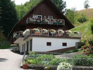 ein Gebäude mit Topfpflanzen auf den Balkonen in der Unterkunft Vogtadeshof in Wolfach
