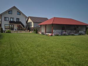 a house with a green lawn in front of it at CASA RIZEA in Salcioara