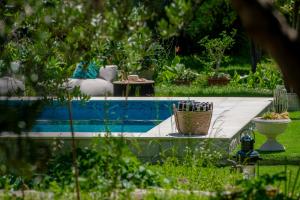 een zwembad midden in een tuin bij Heritage Villa Baković in Dubrovnik