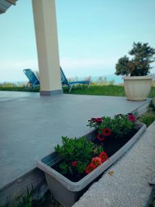 Photo de la galerie de l'établissement Panorama View, à Agios Stefanos