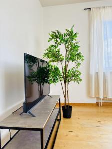 TV a/nebo společenská místnost v ubytování Tuolluvaaravägen