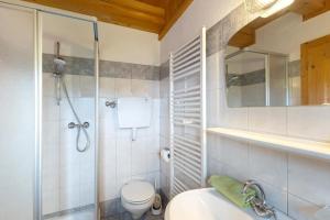 a bathroom with a shower and a toilet and a sink at Almhütte Laffaa in Rodengo