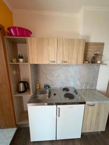 Kuchyň nebo kuchyňský kout v ubytování Apartments PEHAR