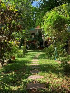 瓦尔卡拉Pachamama Home Stay的树屋前的小径