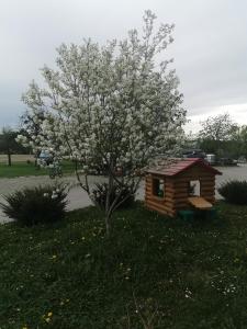Zahrada ubytování Das Bründl - Frühstückspension und Camping