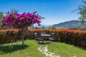 Φωτογραφία από το άλμπουμ του Ca' Silvia σε Pairola