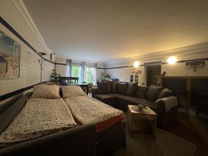 ein Wohnzimmer mit einem Bett und einer Couch in der Unterkunft Ferienwohnung Thiel in Neumark + 34 Fotos