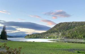 een groot waterlichaam met een grasveld en bomen bij 5 Bedroom Nice Home In Namsos in Namsos +12 foto's