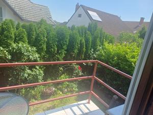 Vonkajšia záhrada v ubytovaní Fox Apartmanok
