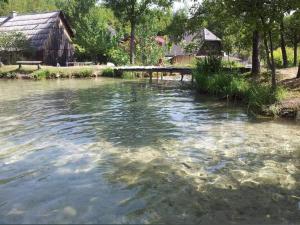 Příroda nedaleko apartmánu