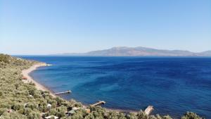 Ảnh trong thư viện ảnh của idaolea ASSOS ở Ayvacık