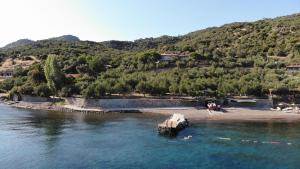 Ảnh trong thư viện ảnh của idaolea ASSOS ở Ayvacık