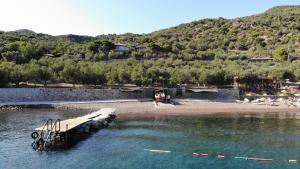 Ảnh trong thư viện ảnh của idaolea ASSOS ở Ayvacık