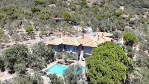 Ảnh trong thư viện ảnh của idaolea ASSOS ở Ayvacık