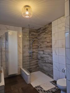 a bathroom with a shower and a toilet at La Planchotte in Peigny +18 photos