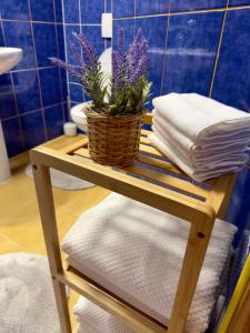 Ένα μπάνιο στο U Haliny Pokoje Stasikówka - Poronin