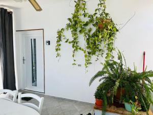 Zahrada ubytování Apartment Josip
