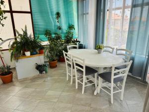 Fotografie z fotogalerie ubytování Apartment Josip v Murteru
