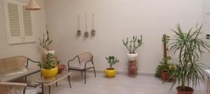 サンニコーラにあるCasa Giovanninaの鉢植えの植物が多いリビングルーム