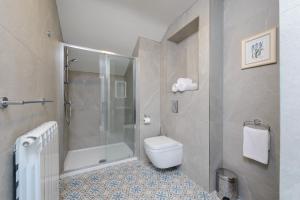 a bathroom with a shower and a toilet at Dingle Heritage Townhouse in Dingle +32 photos