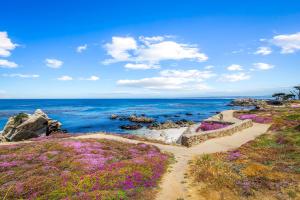 パシフィック・グローブにある3965 Marine Gardens Duplexの紫色の花が咲く海へと続く道